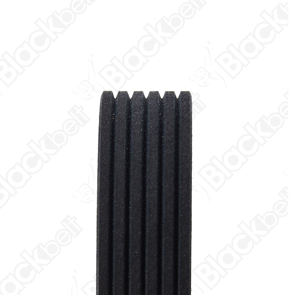 COURROIE SERPENTINE BLACK BELT
