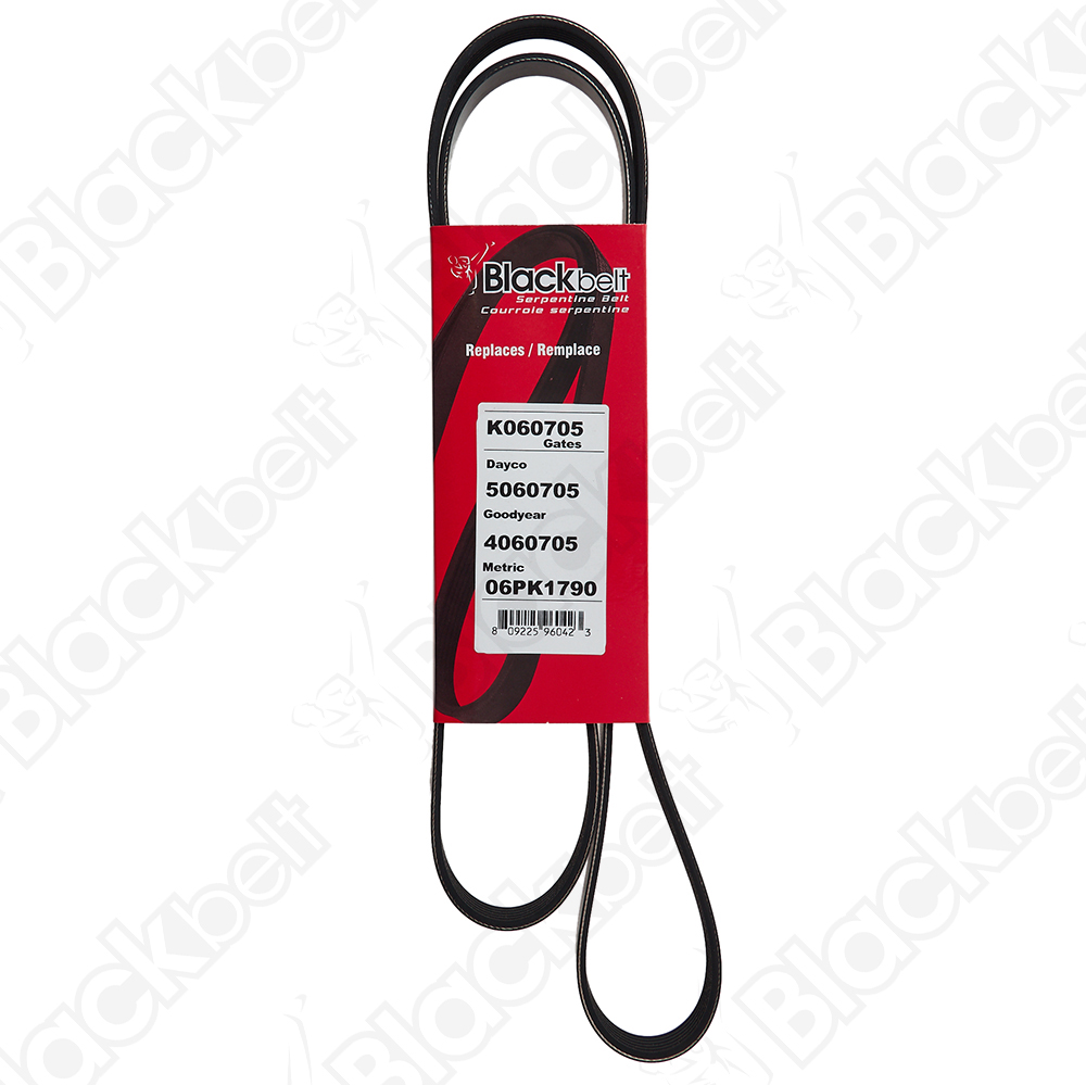 COURROIE SERPENTINE BLACK BELT