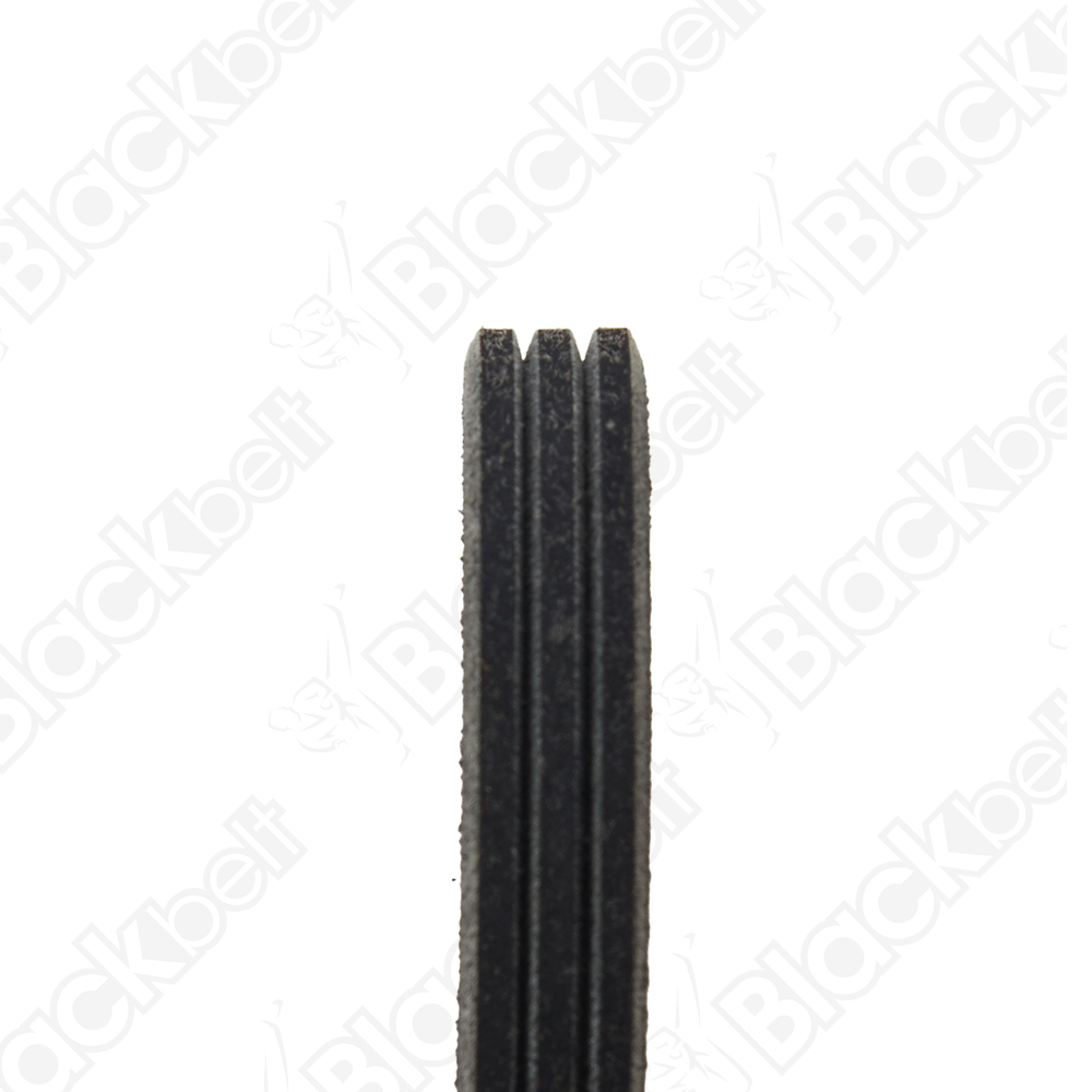 BLACKBELT SERPENTINE BELT