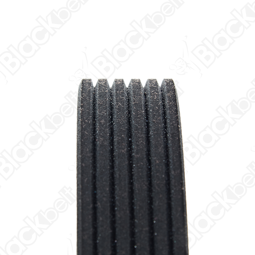 COURROIE SERPENTINE BLACK BELT