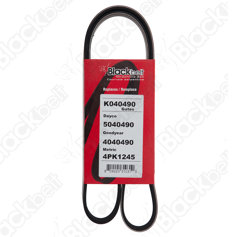 COURROIE SERPENTINE BLACK BELT