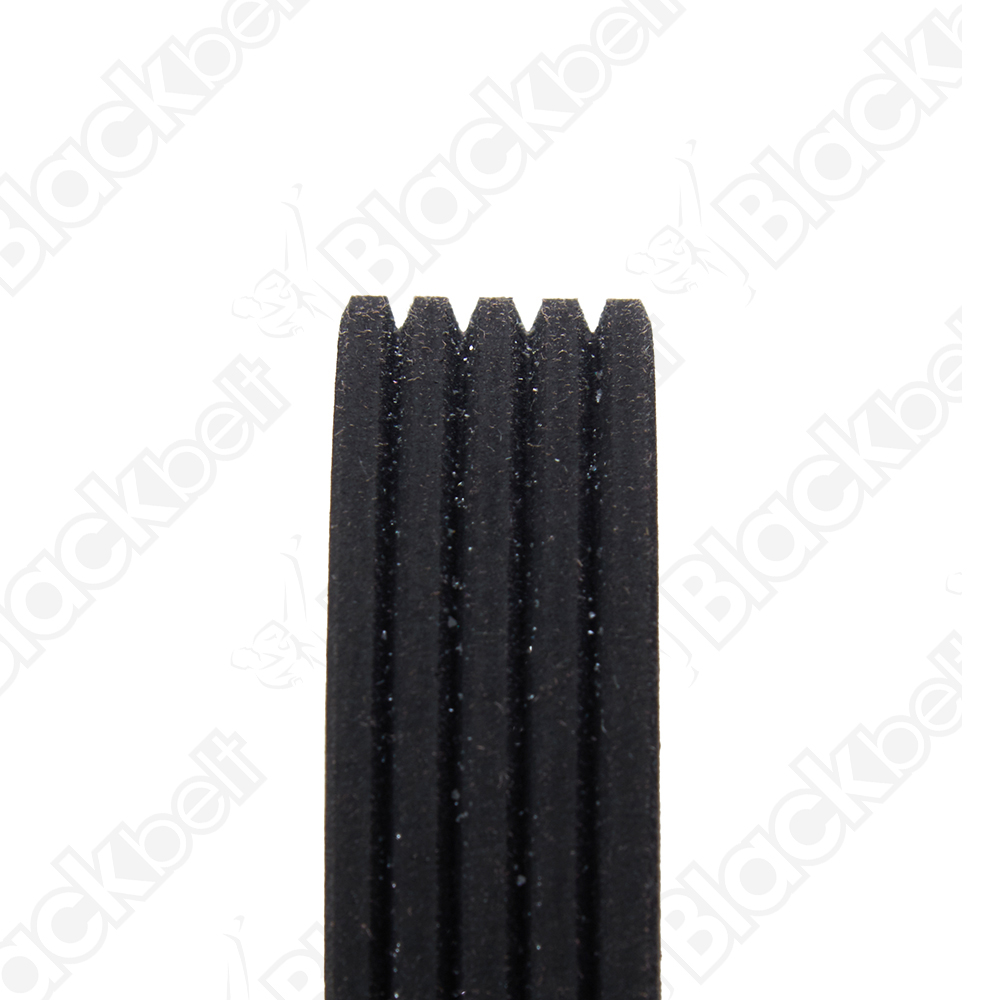 BLACKBELT SERPENTINE BELT - 2