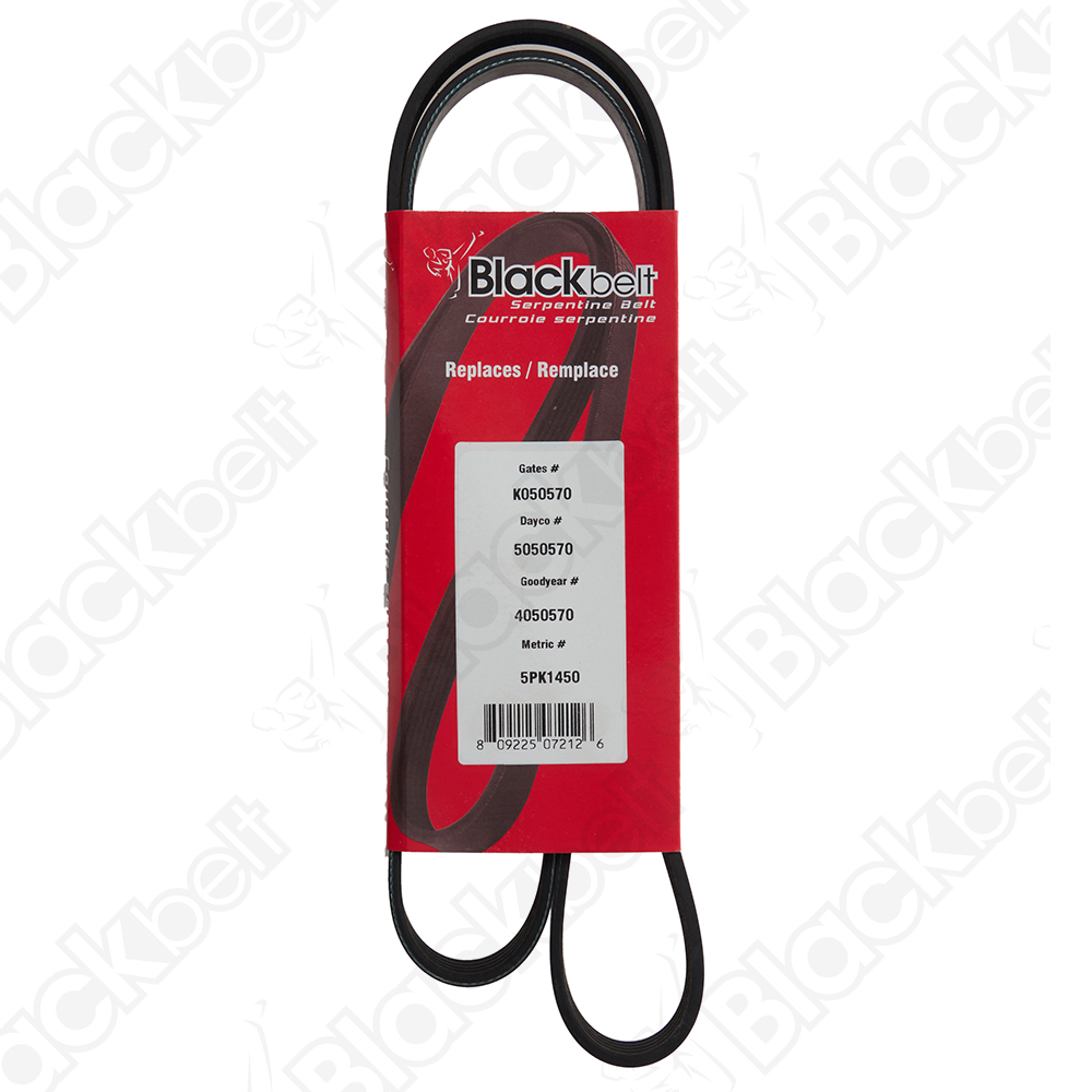 COURROIE SERPENTINE BLACK BELT - 2