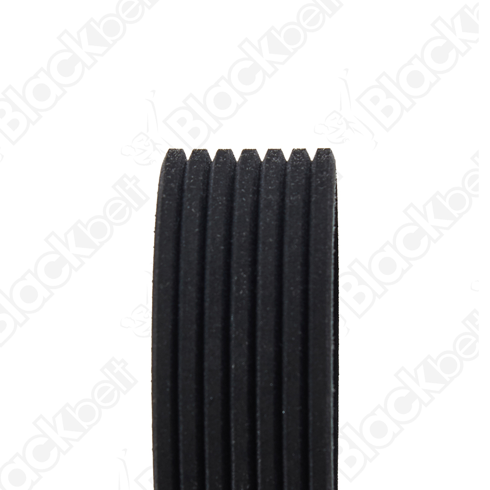 BLACKBELT SERPENTINE BELT