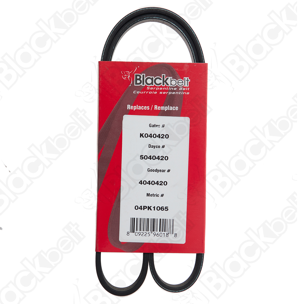 COURROIE SERPENTINE BLACK BELT
