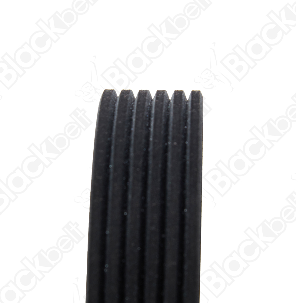 COURROIE SERPENTINE BLACK BELT