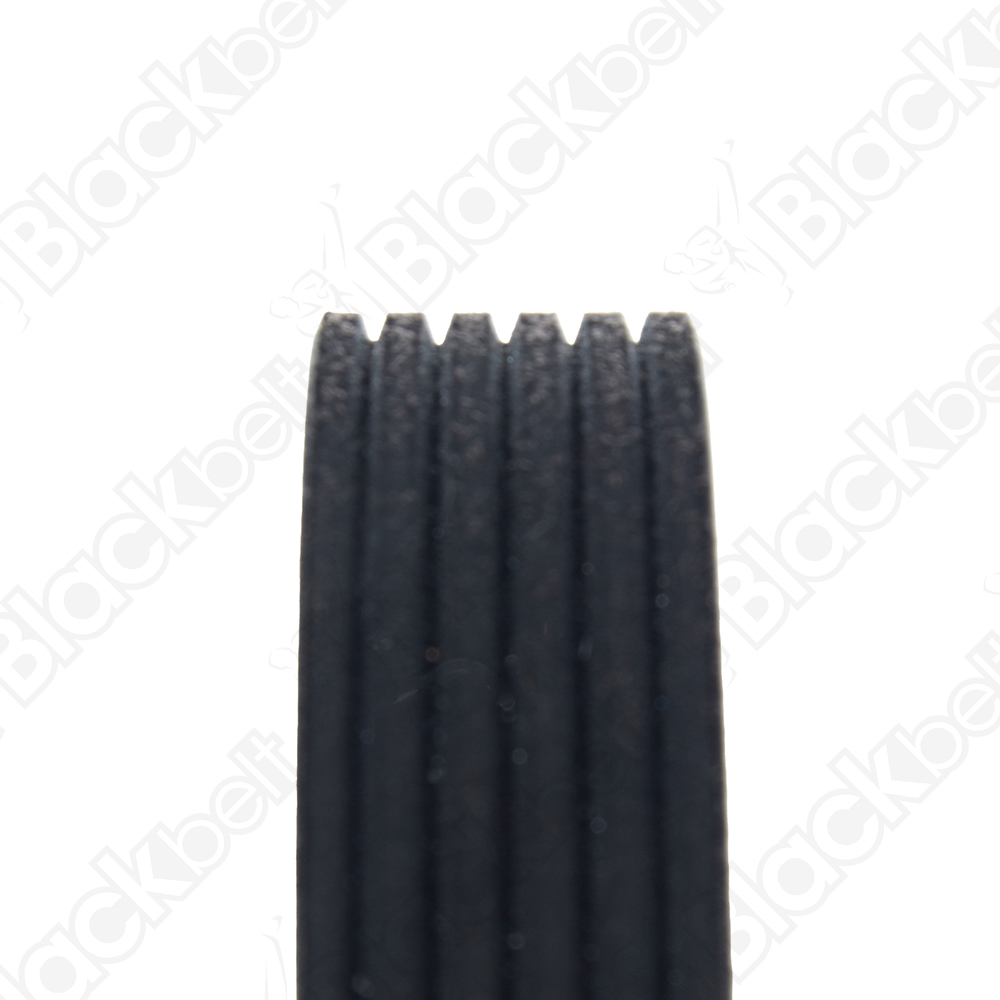 BLACKBELT SERPENTINE BELT - 2