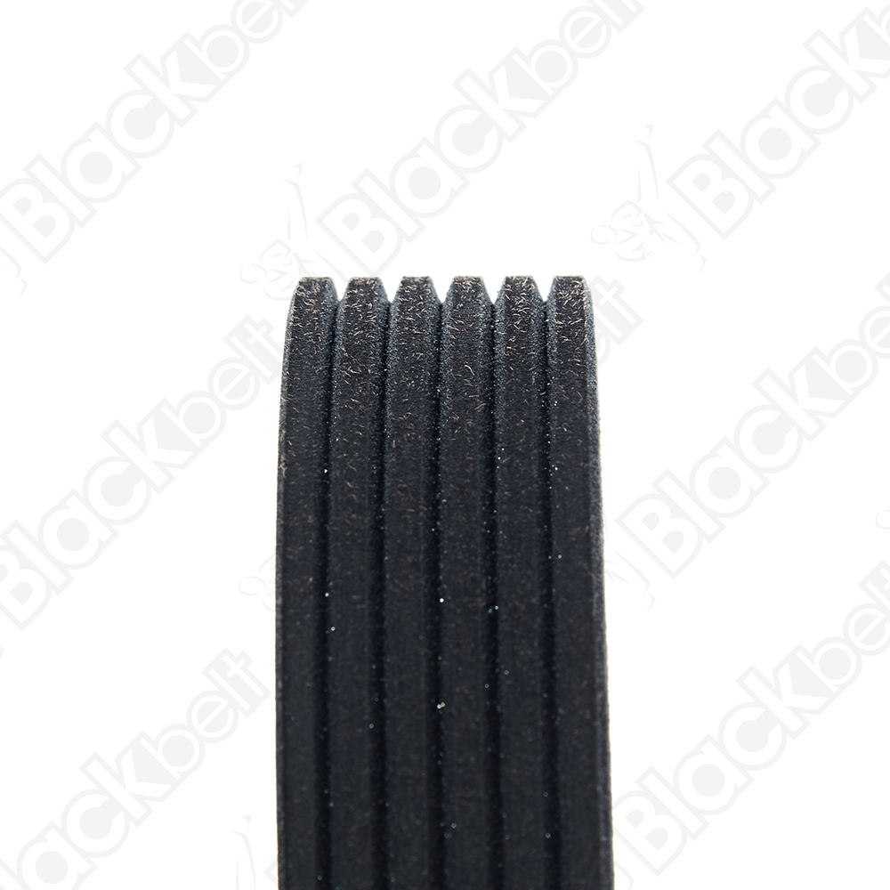 COURROIE SERPENTINE BLACK BELT