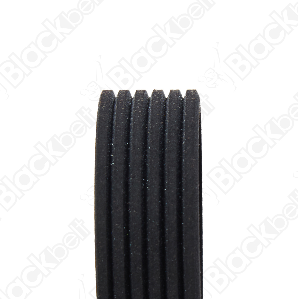 COURROIE SERPENTINE BLACK BELT - 2