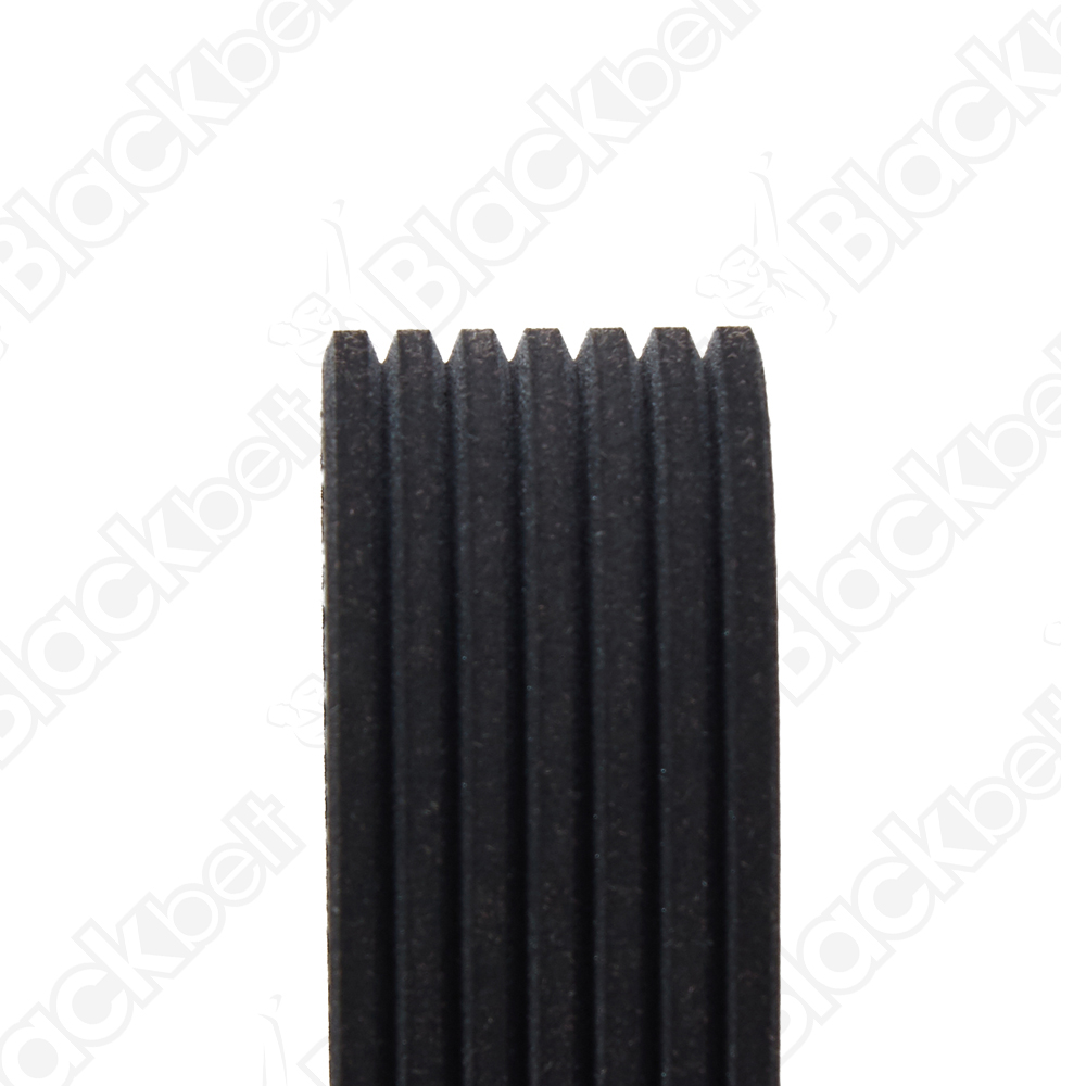 BLACKBELT SERPENTINE BELT