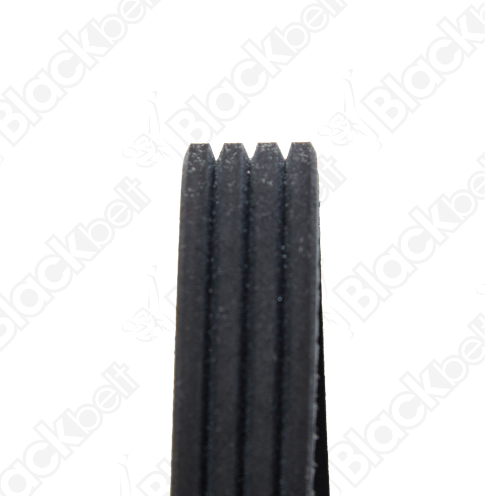 BLACKBELT SERPENTINE BELT - 2