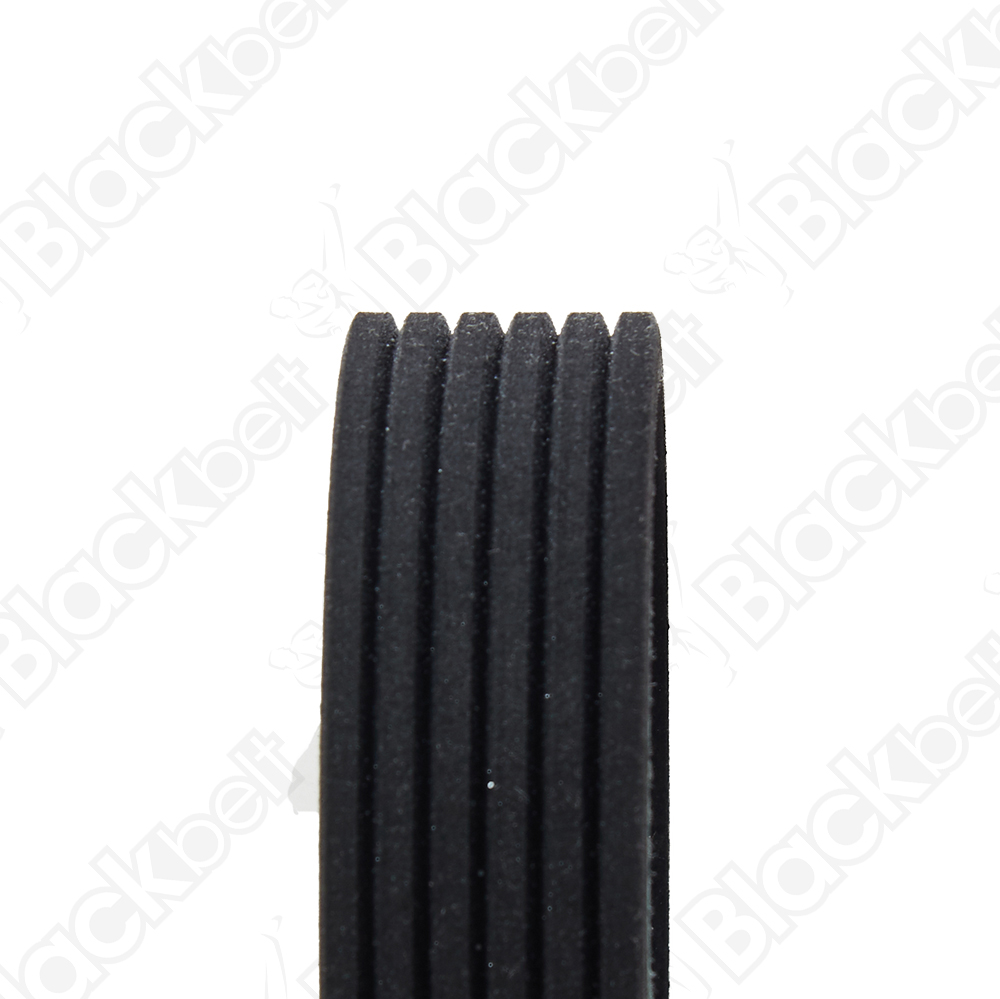 COURROIE SERPENTINE BLACKBELT - 2