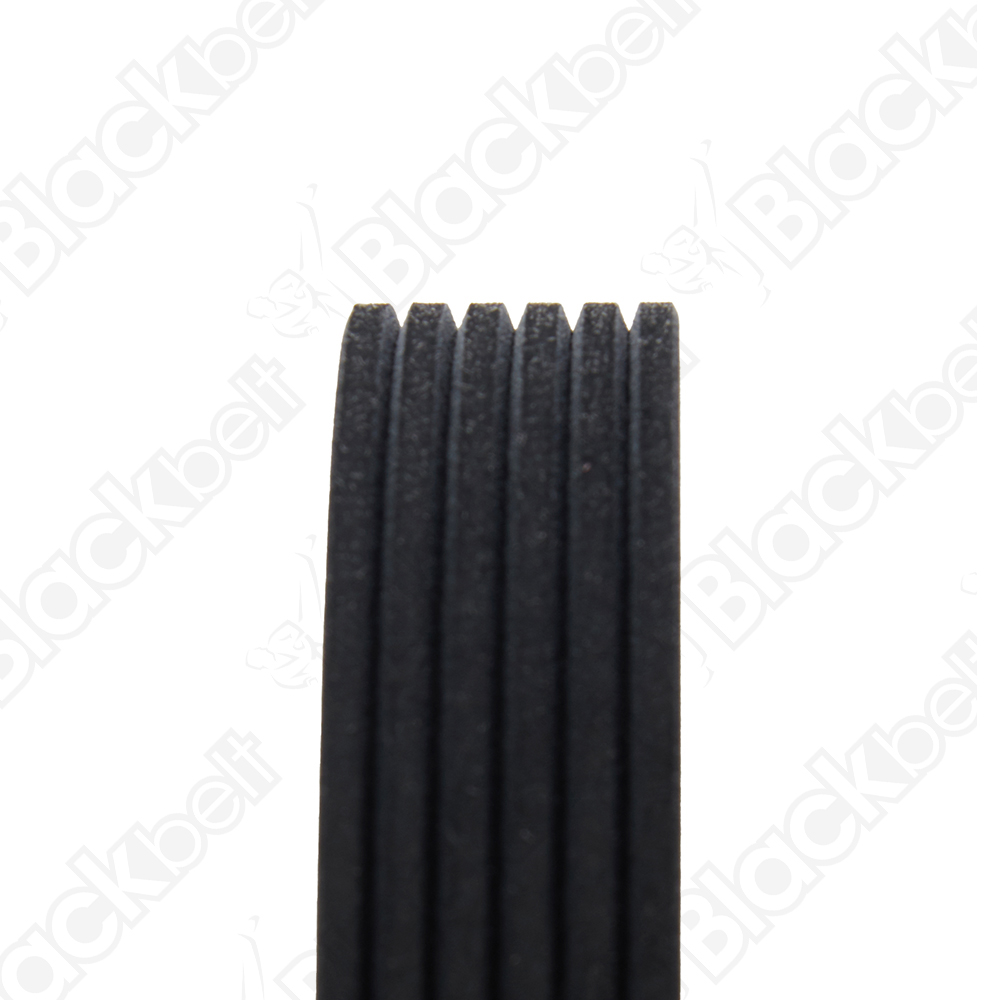 BLACKBELT SERPENTINE BELT