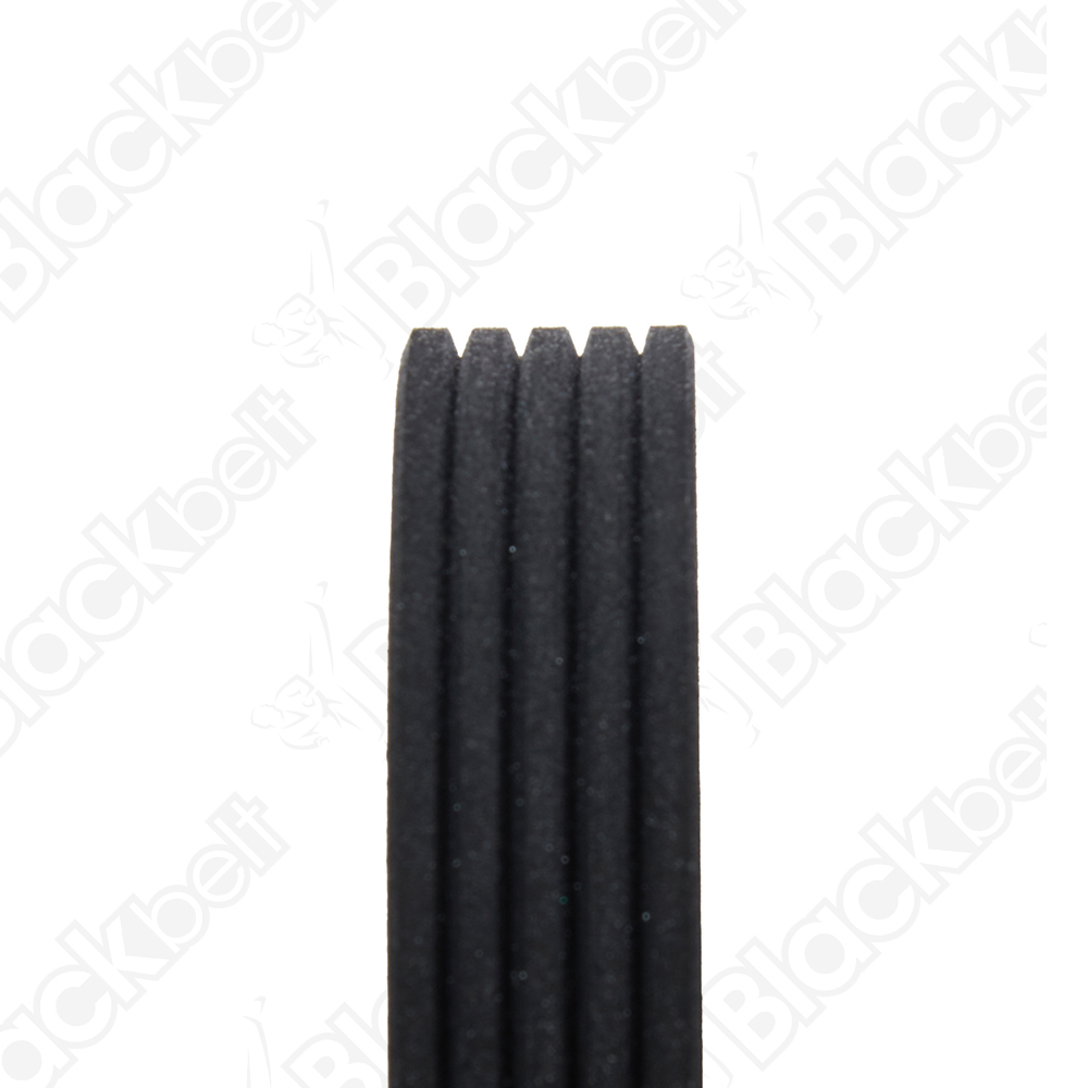 COURROIE SERPENTINE BLACK BELT