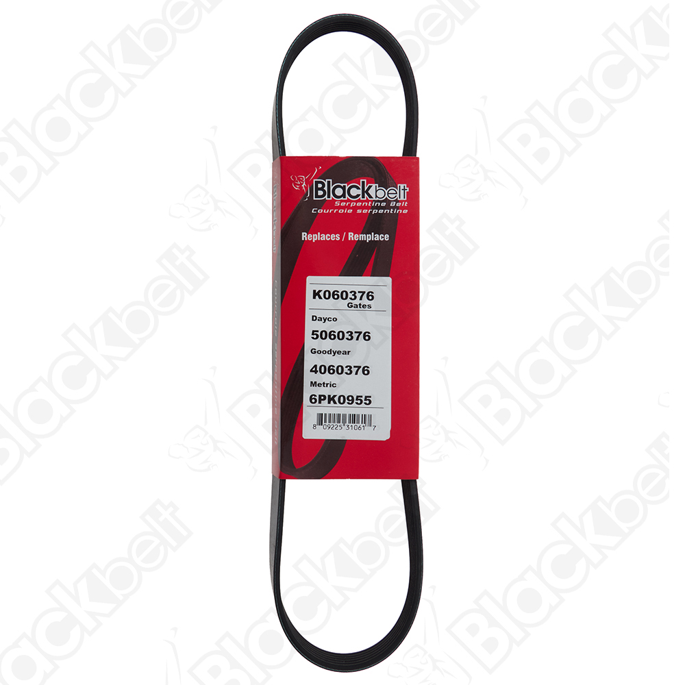 BLACKBELT SERPENTINE BELT