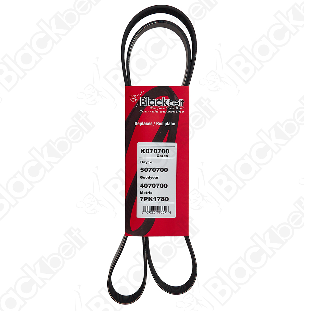 BLACKBELT SERPENTINE BELT - 2