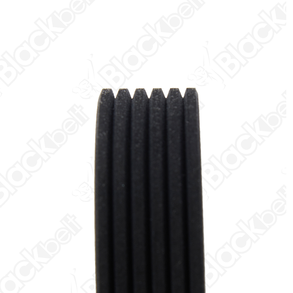 COURROIE SERPENTINE BLACK BELT - 2