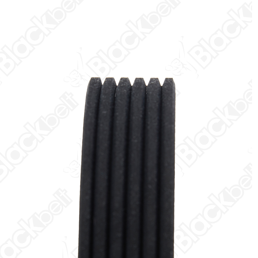 COURROIE SERPENTINE BLACK BELT