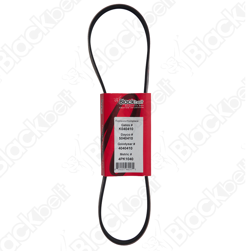 BLACKBELT SERPENTINE BELT - 2
