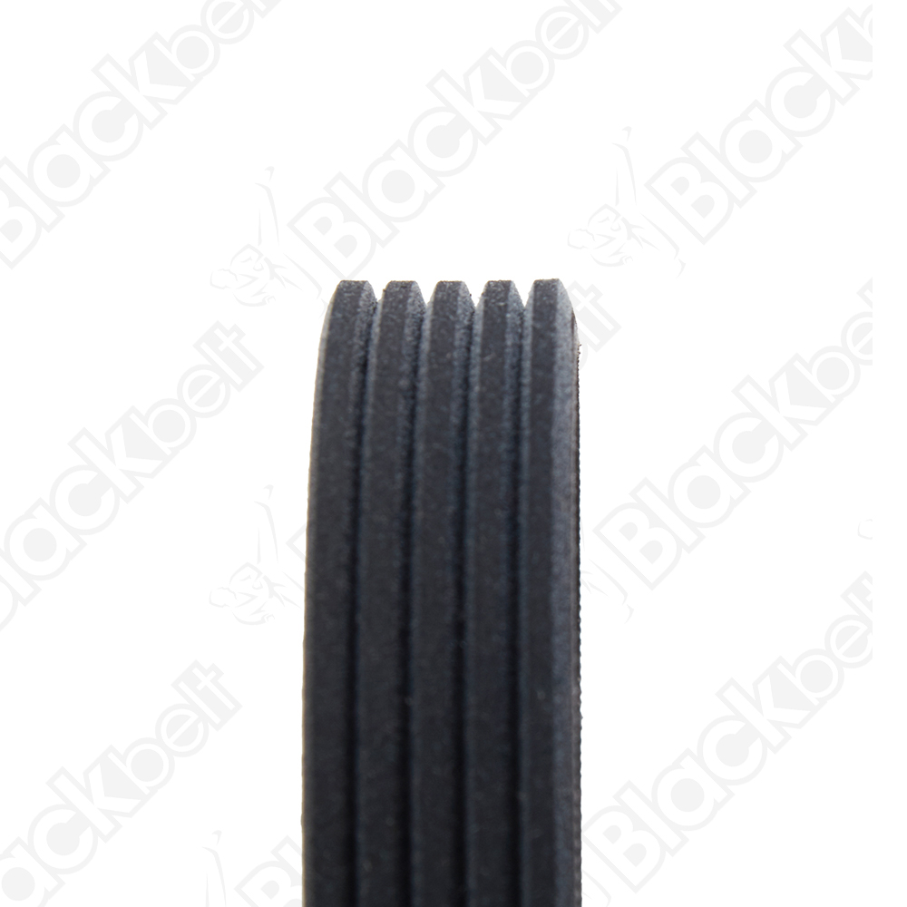 BLACKBELT SERPENTINE BELT