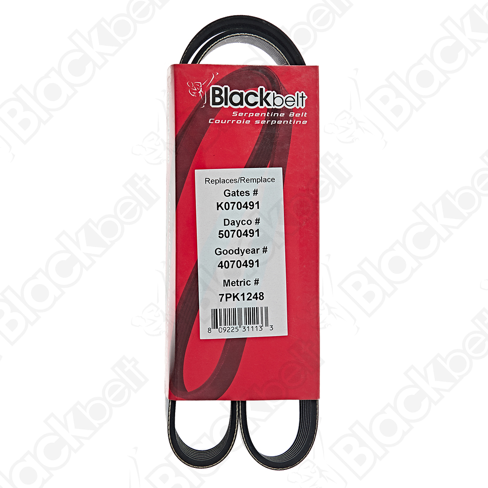 BLACKBELT SERPENTINE BELT - 2