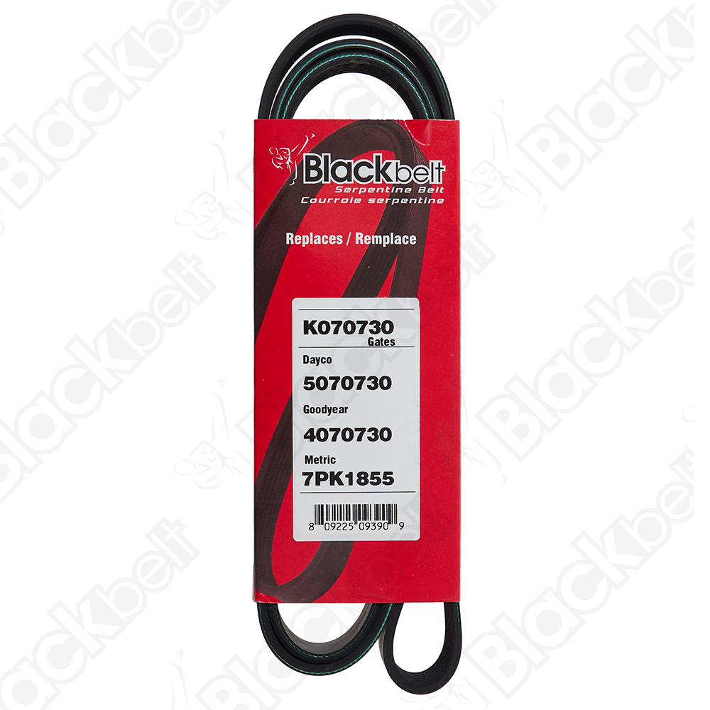 BLACKBELT SERPENTINE BELT - 2