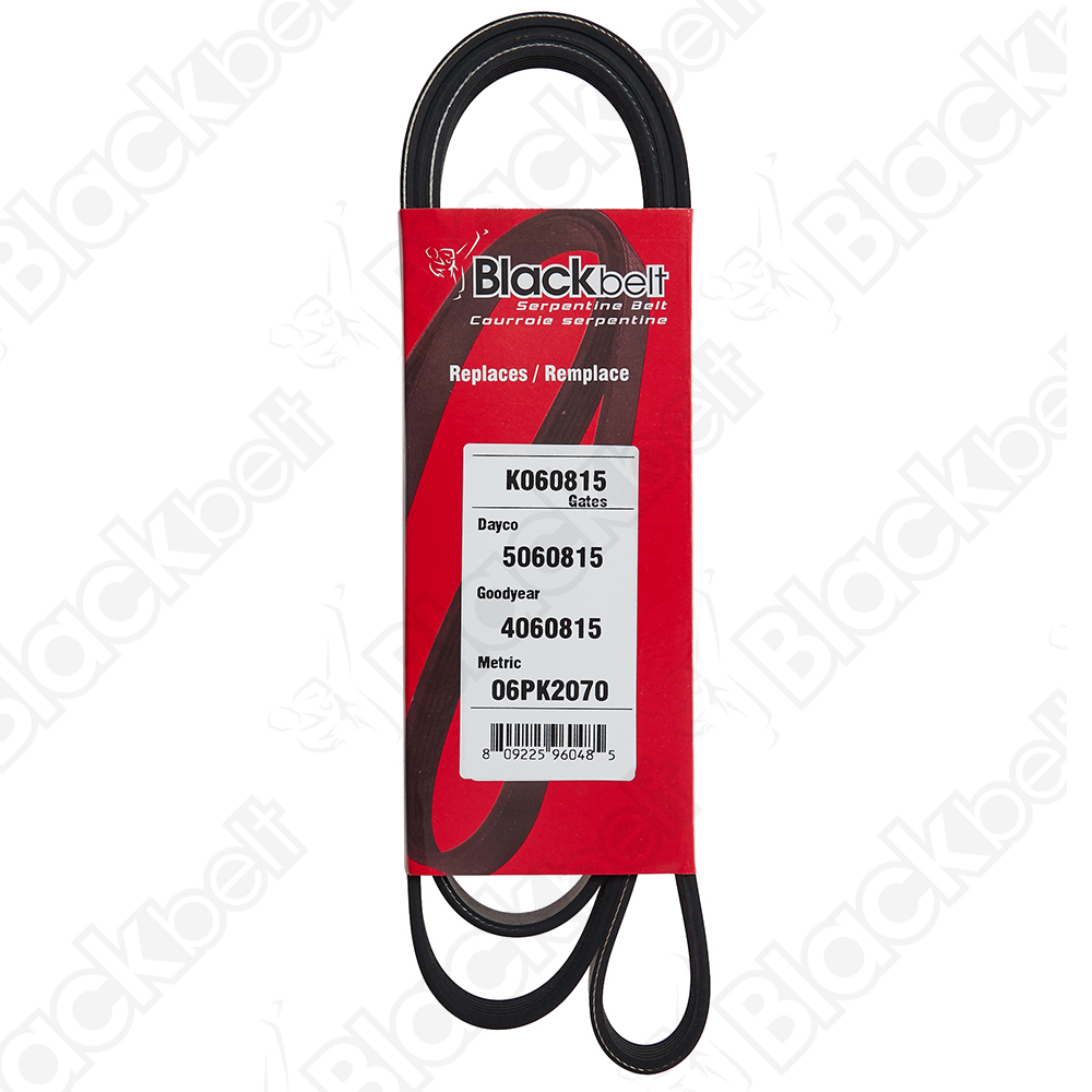 COURROIE SERPENTINE BLACK BELT - 2
