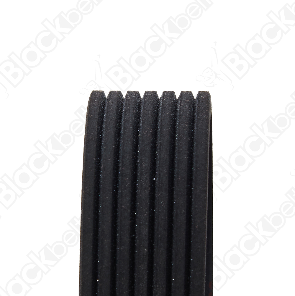 BLACKBELT SERPENTINE BELT