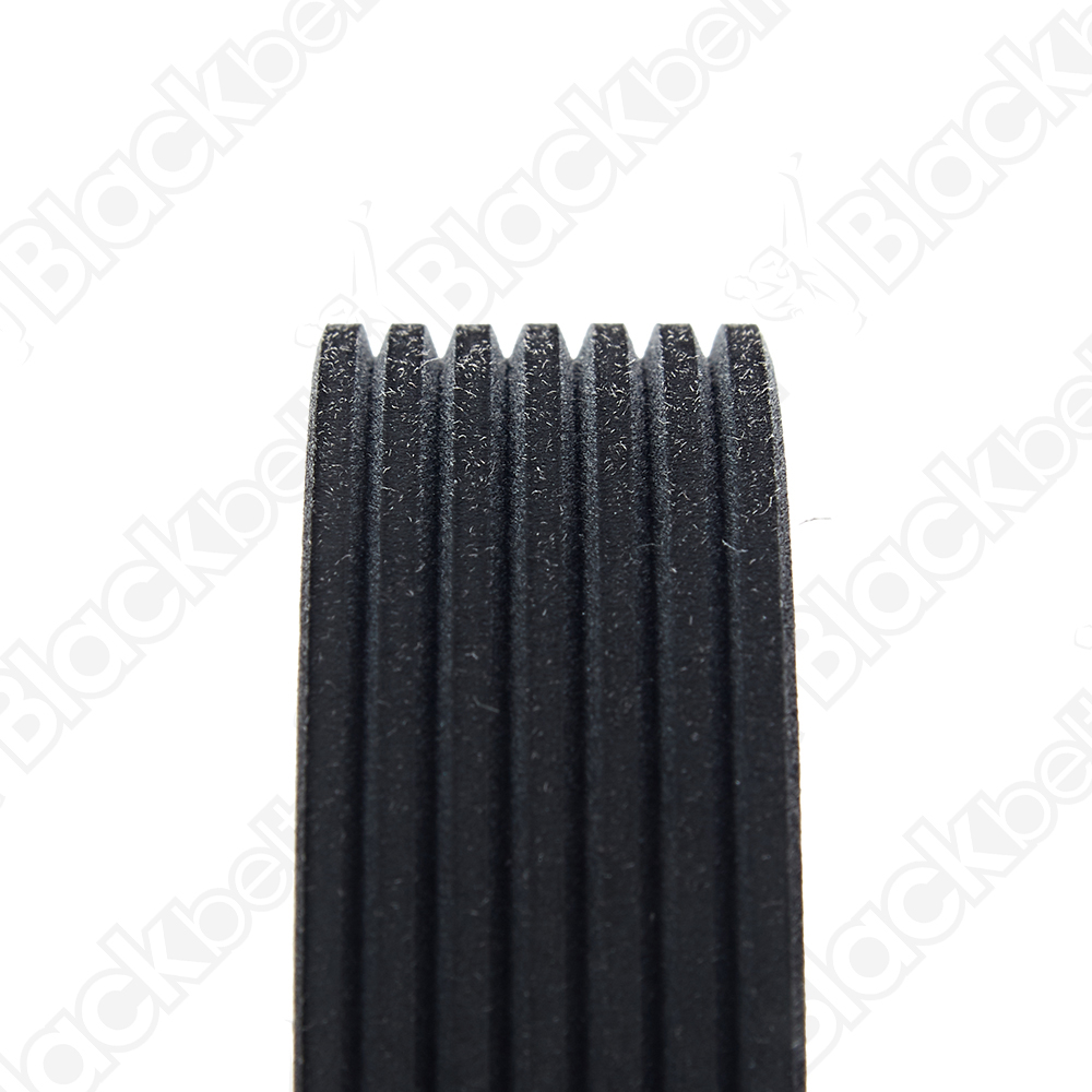 BLACKBELT SERPENTINE BELT