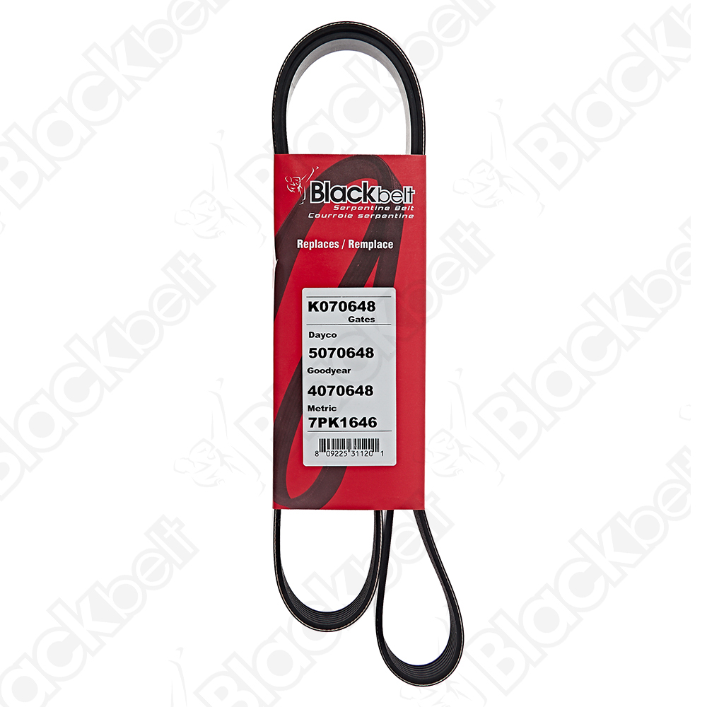 COURROIE SERPENTINE BLACK BELT