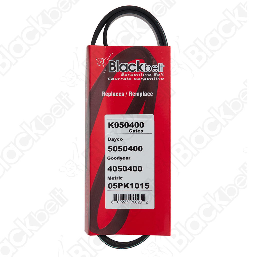 COURROIE SERPENTINE BLACK BELT