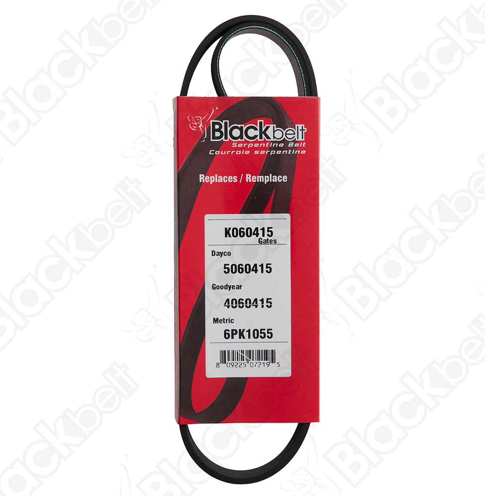 BLACKBELT SERPENTINE BELT - 2