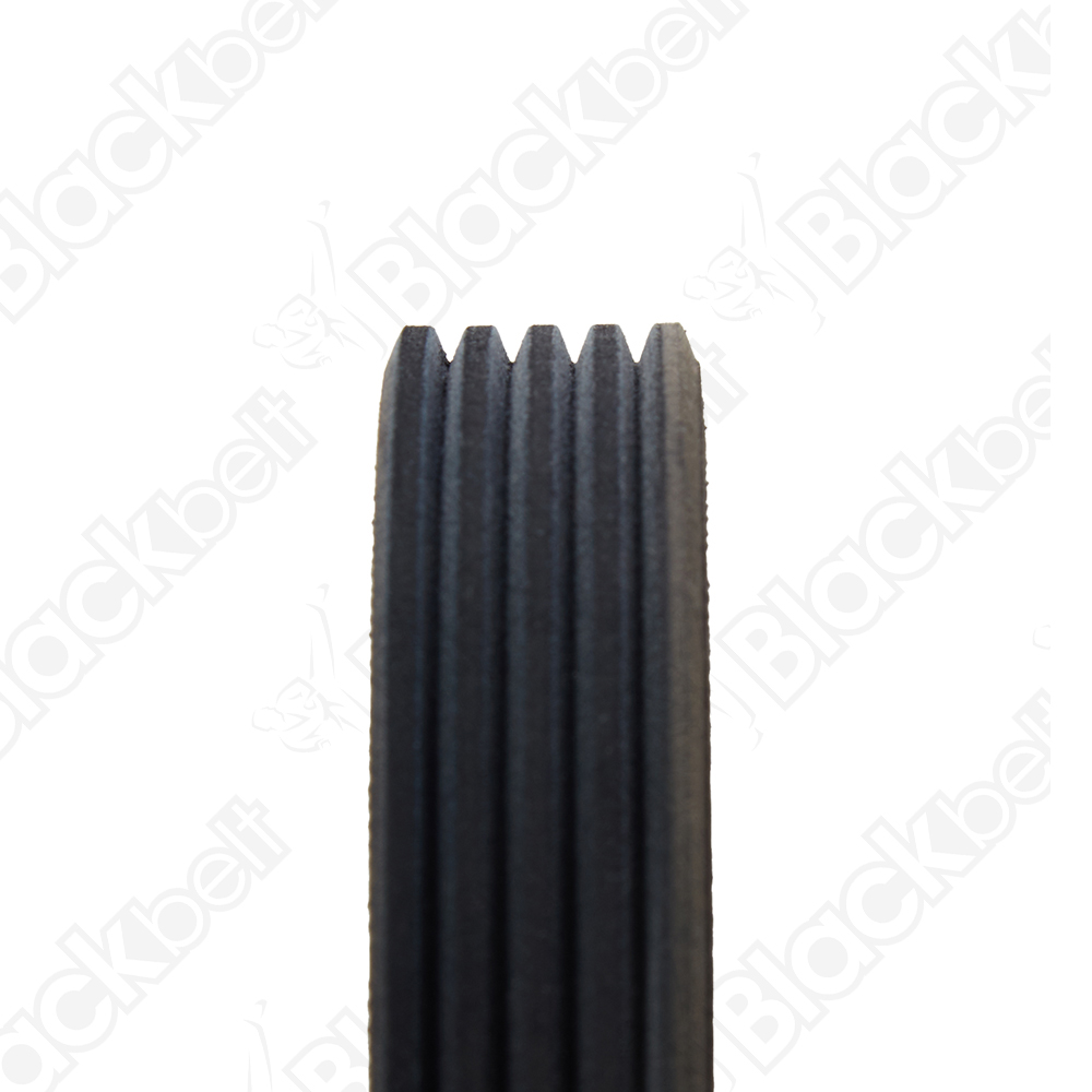 COURROIE SERPENTINE BLACK BELT