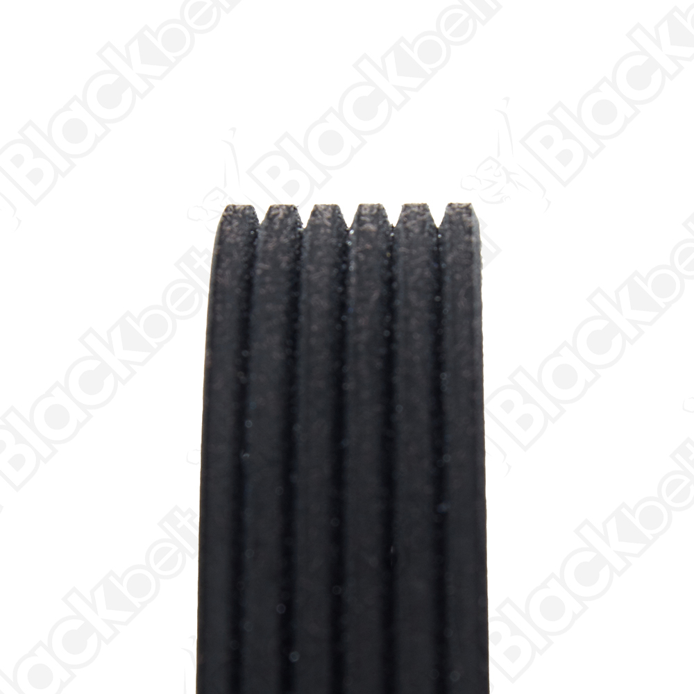 COURROIE SERPENTINE BLACK BELT