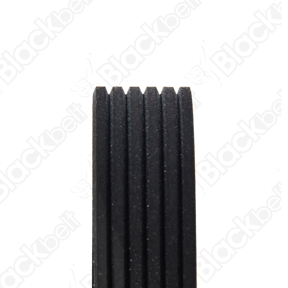 COURROIE SERPENTINE BLACK BELT