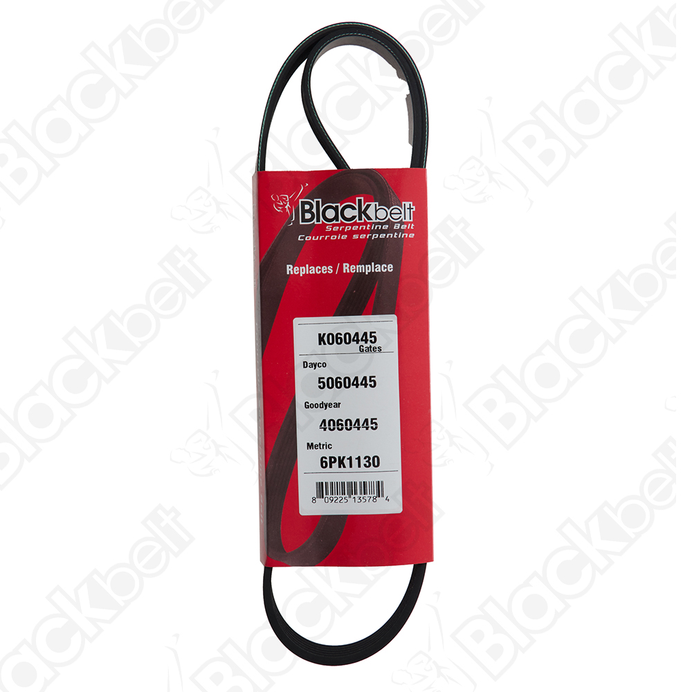 COURROIE SERPENTINE BLACK BELT - 2