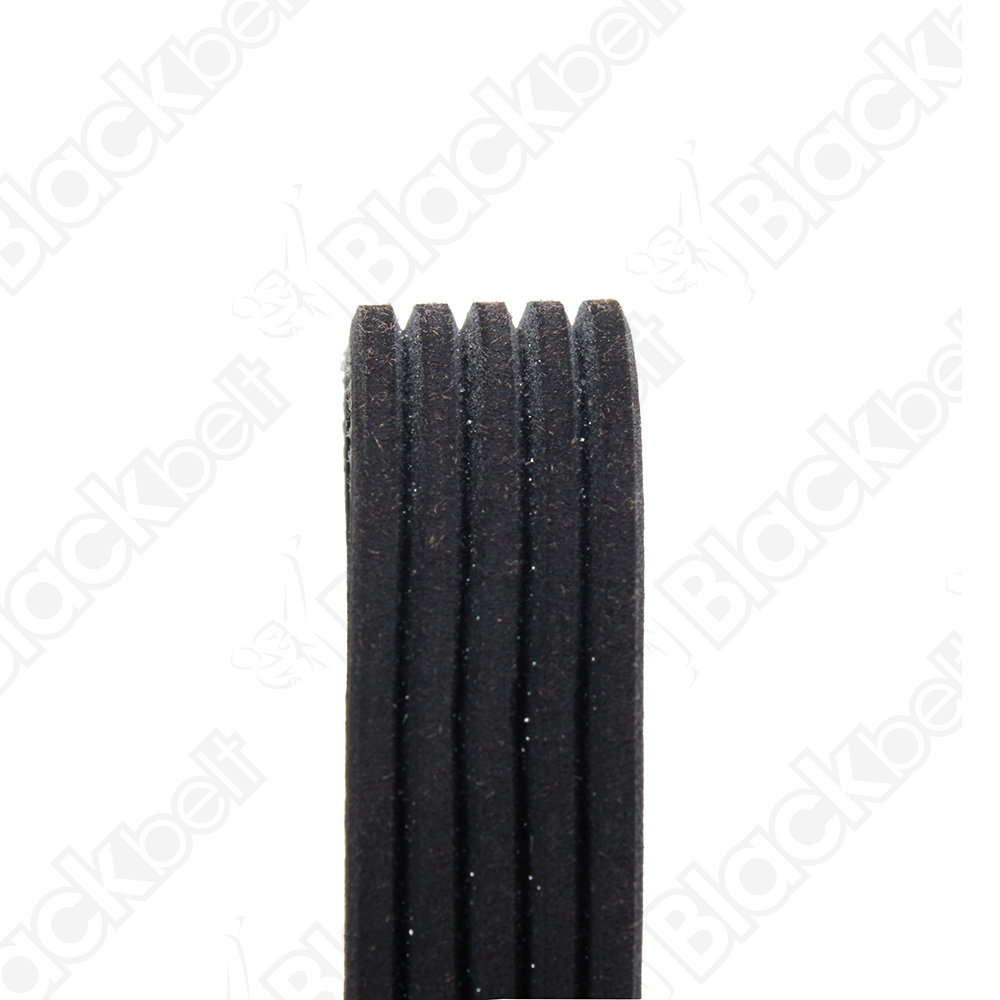 COURROIE SERPENTINE BLACK BELT - 2