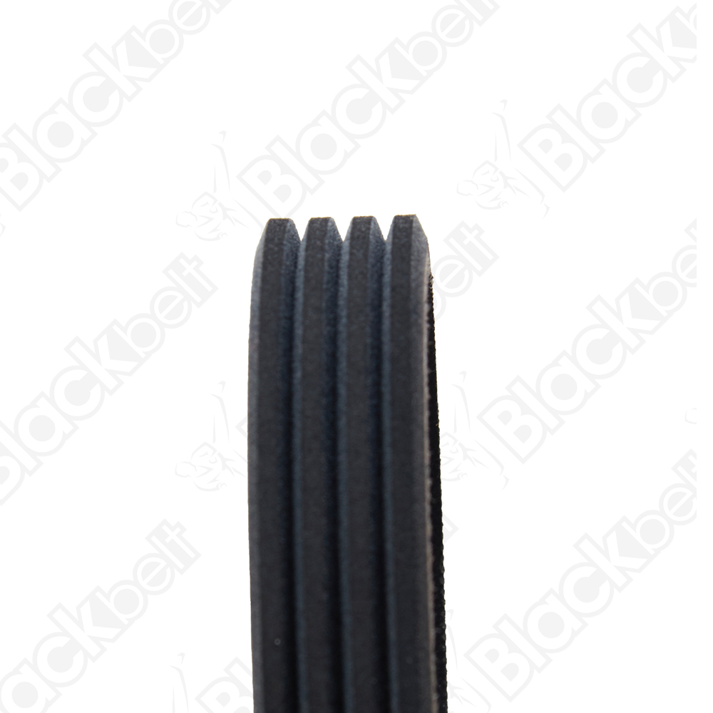 BLACKBELT SERPENTINE BELT