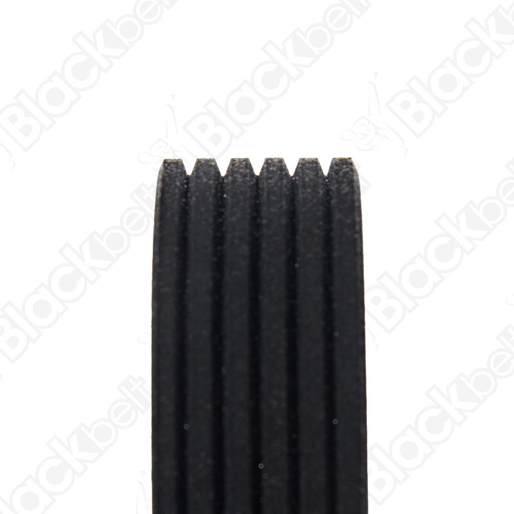 COURROIE SERPENTINE BLACK BELT