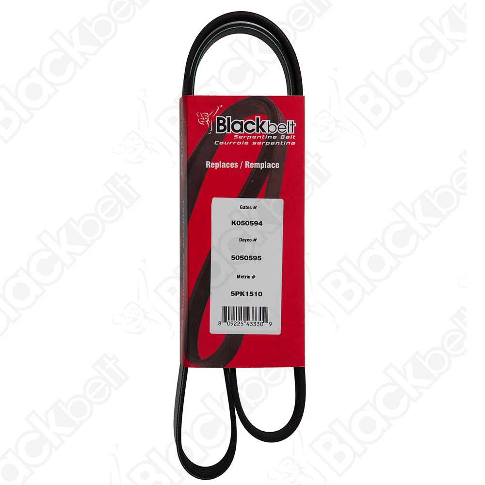 COURROIE SERPENTINE BLACK BELT - 2