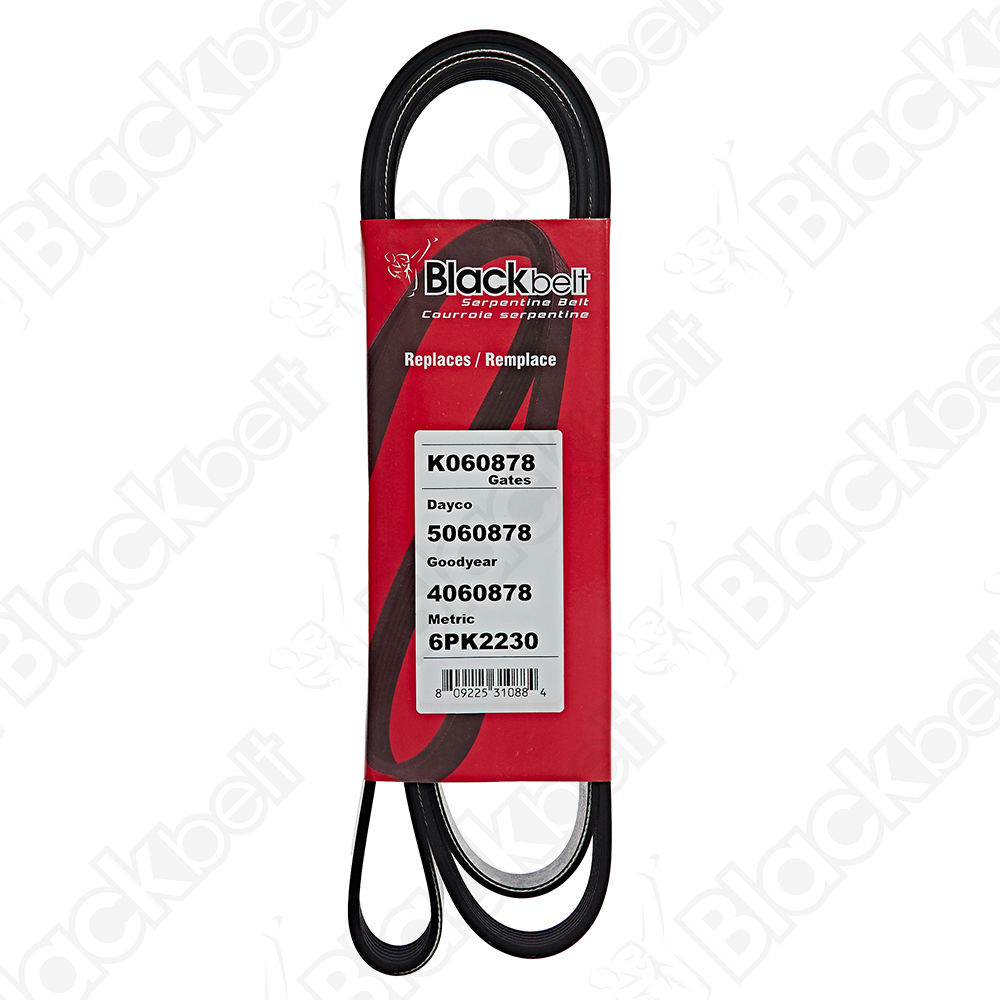 COURROIE SERPENTINE BLACK BELT