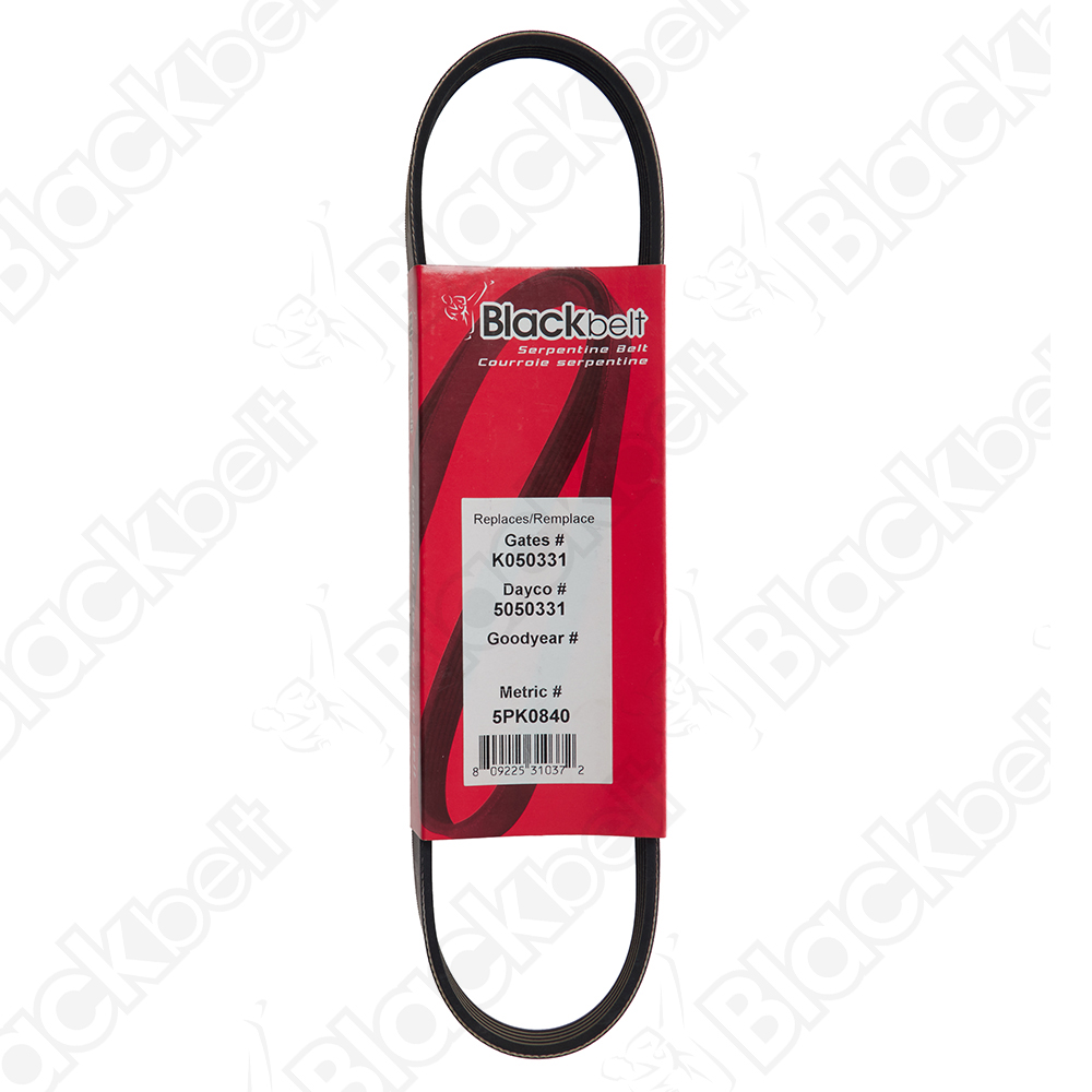 COURROIE SERPENTINE BLACK BELT