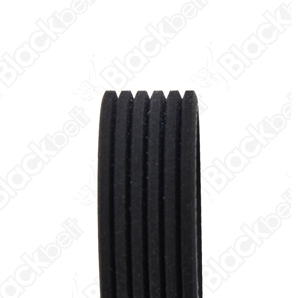 BLACKBELT SERPENTINE BELT