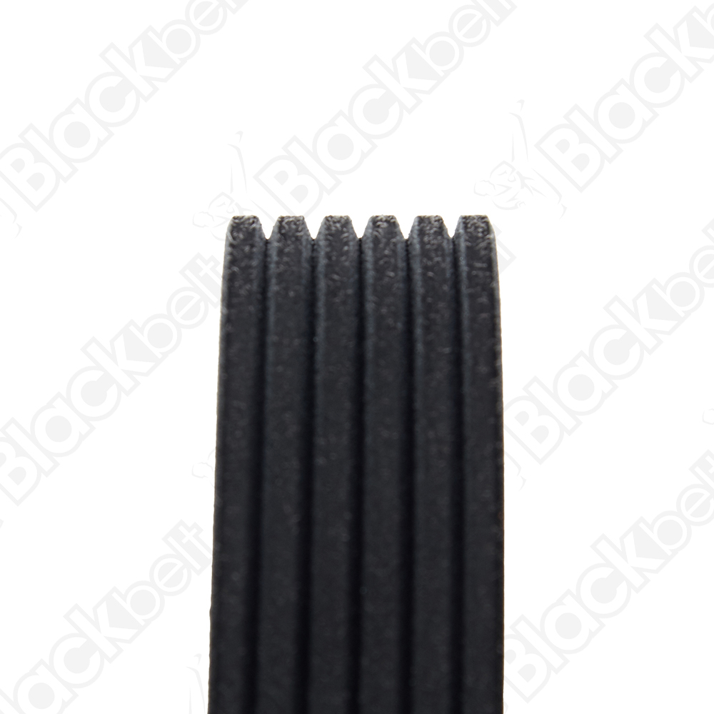 COURROIE SERPENTINE BLACK BELT - 2