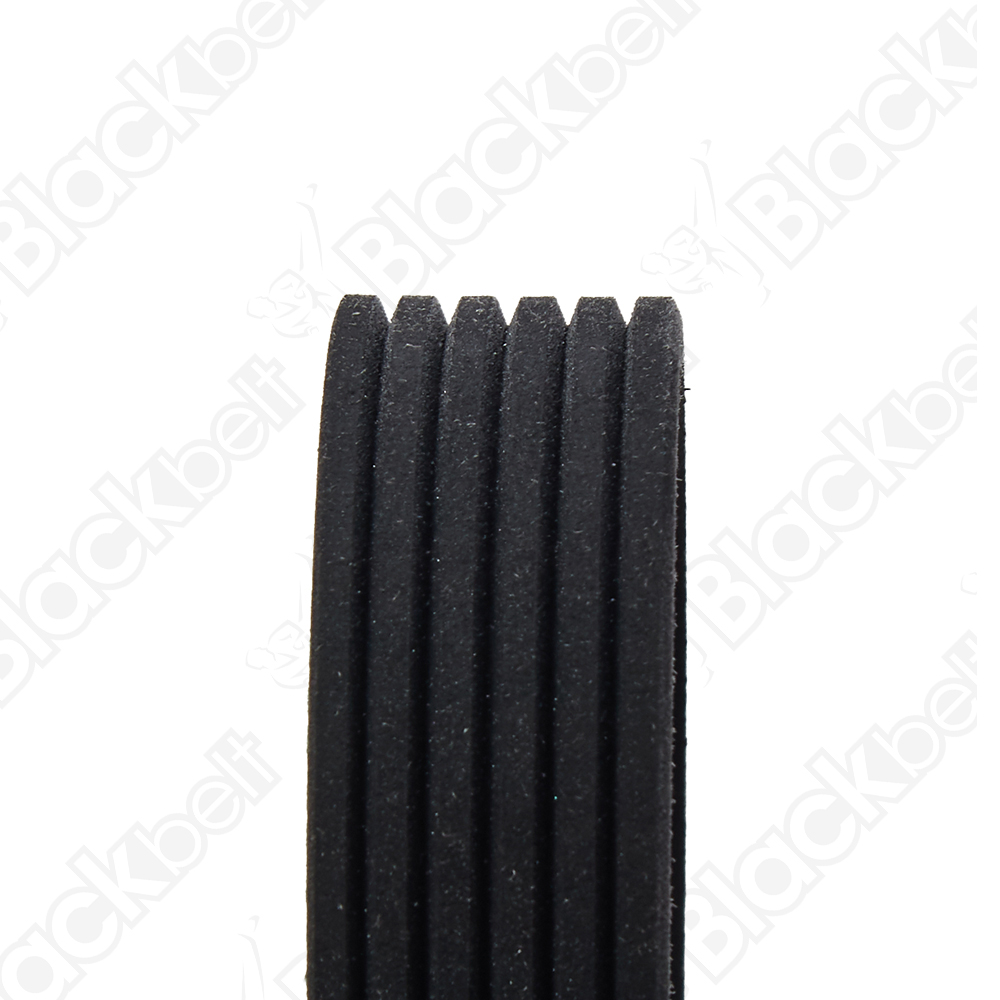 BLACKBELT SERPENTINE BELT
