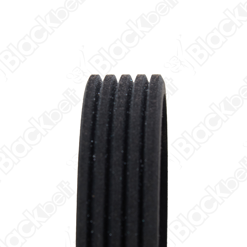 BLACKBELT SERPENTINE BELT