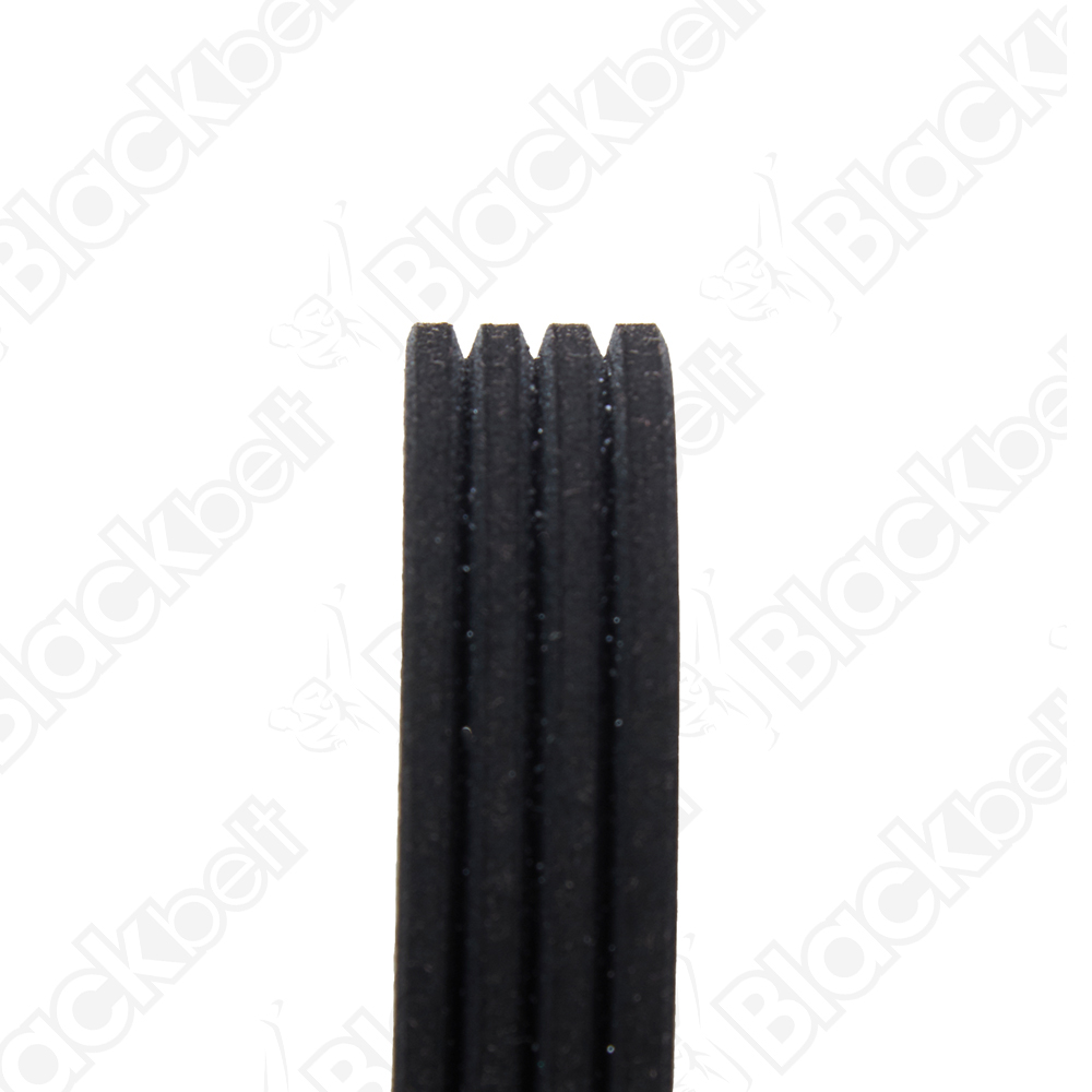 COURROIE SERPENTINE BLACK BELT