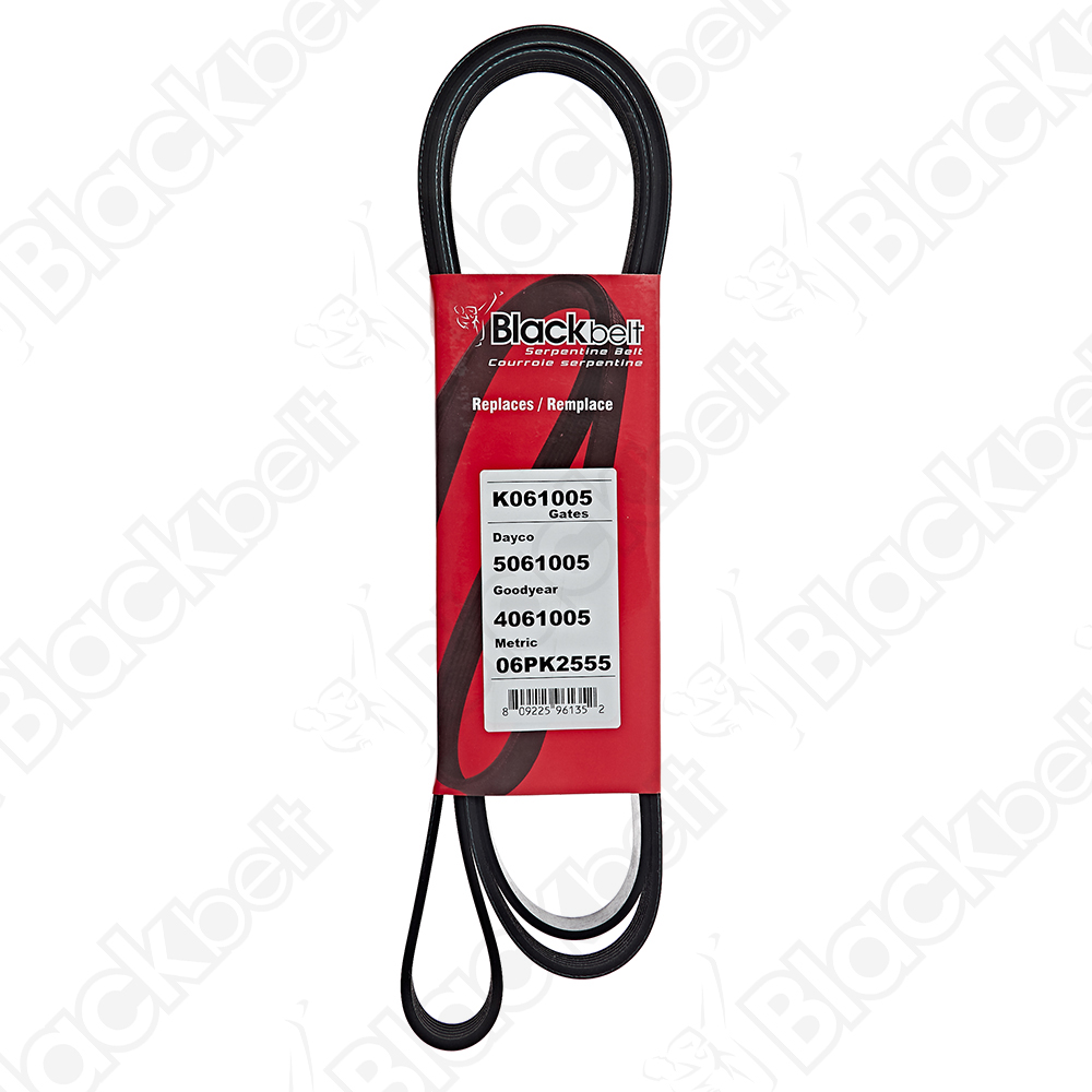 COURROIE SERPENTINE BLACK BELT