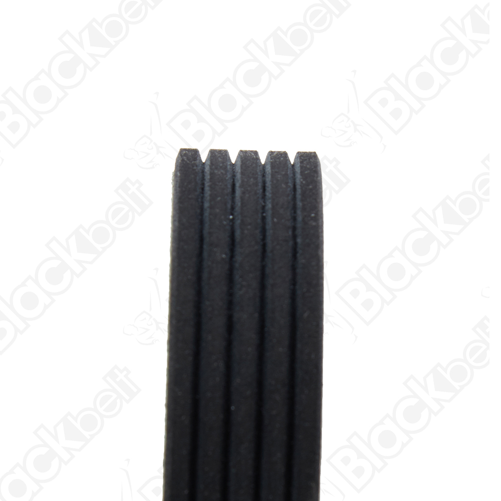 COURROIE SERPENTINE BLACK BELT