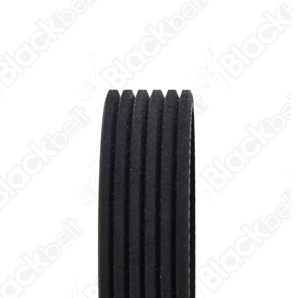 COURROIE SERPENTINE BLACK BELT - 2